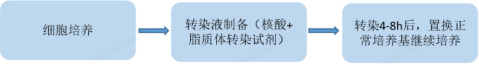 eec4797b7a9c6fa849690640a90c714a eec4797b7a9c6fa849690640a90c714a