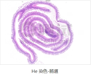 微信截图_20240719163154