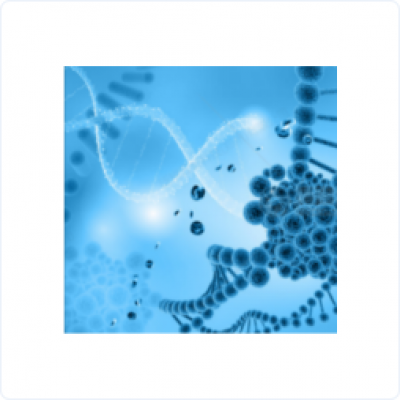 34b77d9c02abf4b8acb20a51c2e91723_400x400_auto.jpg 34b77d9c02abf4b8acb20a51c2e91723_400x400_auto.jpg