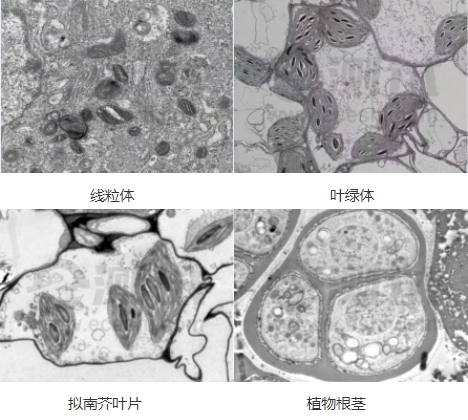 微信截图_20240719155000 微信截图_20240719155000
