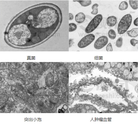 微信截图_20240719154937 微信截图_20240719154937