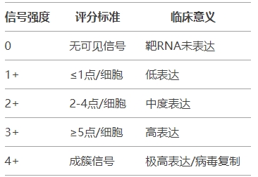 微信截图_20250414113058 微信截图_20250414113058