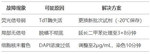 微信截图_20250417151808 微信截图_20250417151808