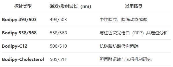 微信截图_20250430170253 微信截图_20250430170253