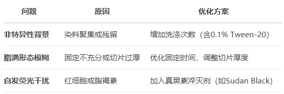 微信截图_20250430170324 微信截图_20250430170324