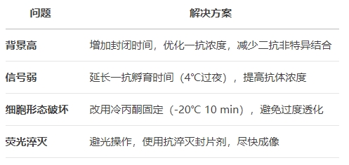 微信截图_20250521103704 微信截图_20250521103704