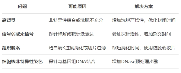 微信截图_20250508133323 微信截图_20250508133323