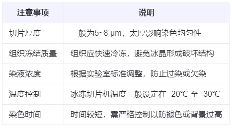 微信截图_20250613143803 微信截图_20250613143803